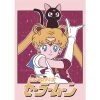 Anime Cute S Sailor Girl M Moon Poster Paper Print Home Living Room Bedroom Entrance Bar 2 - Anime Posters Shop