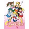 Anime Cute S Sailor Girl M Moon Poster Paper Print Home Living Room Bedroom Entrance Bar 7 - Anime Posters Shop